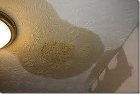 leak-detection-miami-lion-plumbing