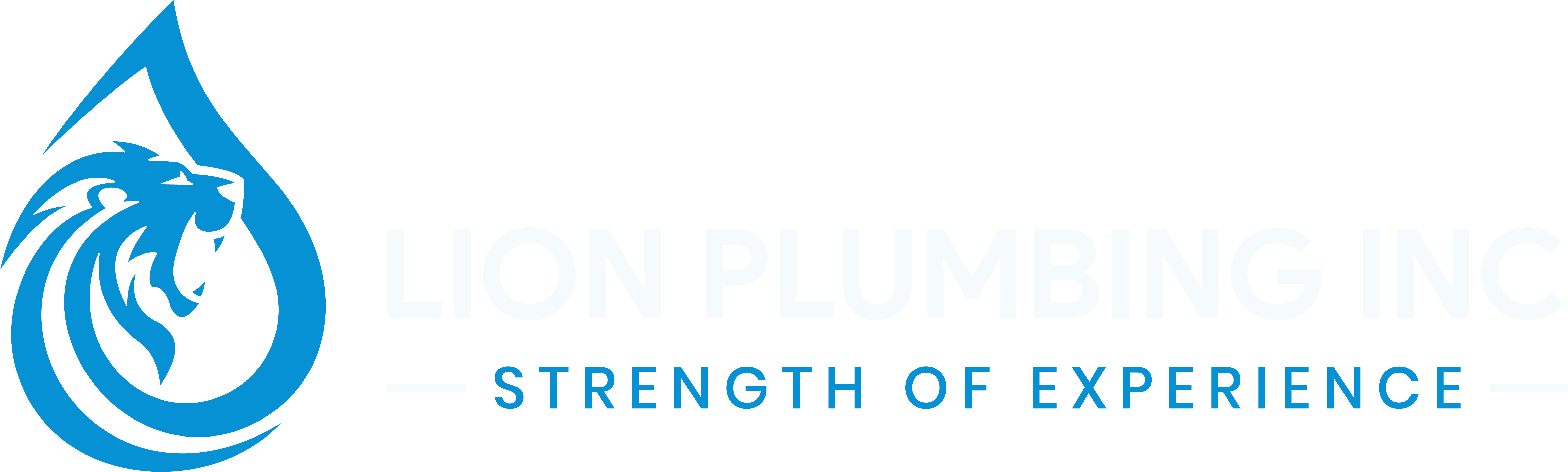 Lion Plumbing Logo